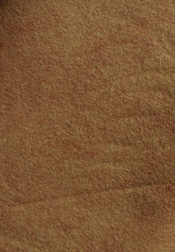 Mustard Seed